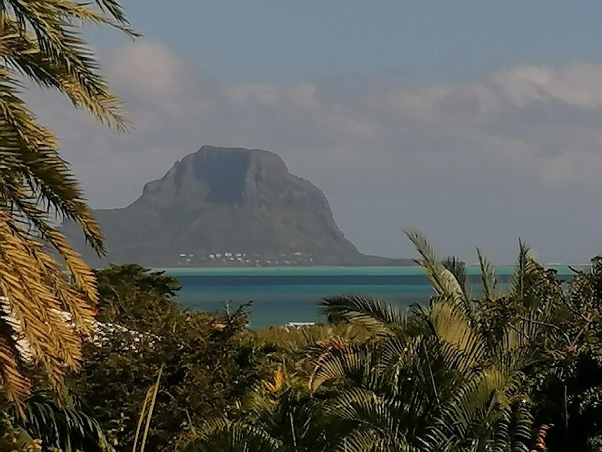 Terre Et Mer - Studios - Ile Maurice Riviere Noire Exterior photo